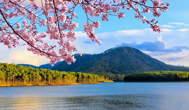 Đi du lịch Đà Lạt tháng mấy, mùa nào đẹp nhất trong năm?