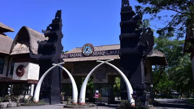 Du Lịch Tự Túc Bali, Đừng Bỏ Qua 10 Hoạt Động Siêu Mới Lạ