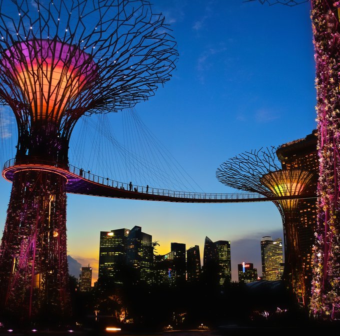 Mãn Nhãn Với Gardens By The Bay - Vườn Địa Đàng Giữa Lòng Singapore, SINGAPORE