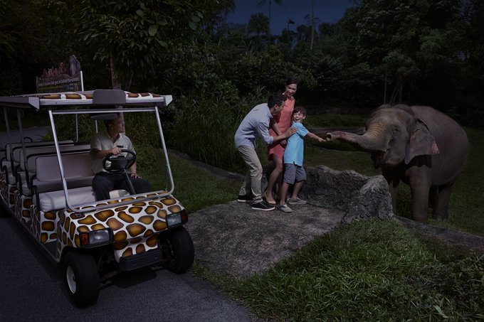 Kinh Nghiệm Đi Singapore Zoo, River Safari, Night Safari và Vườn Chim Jurong, SINGAPORE