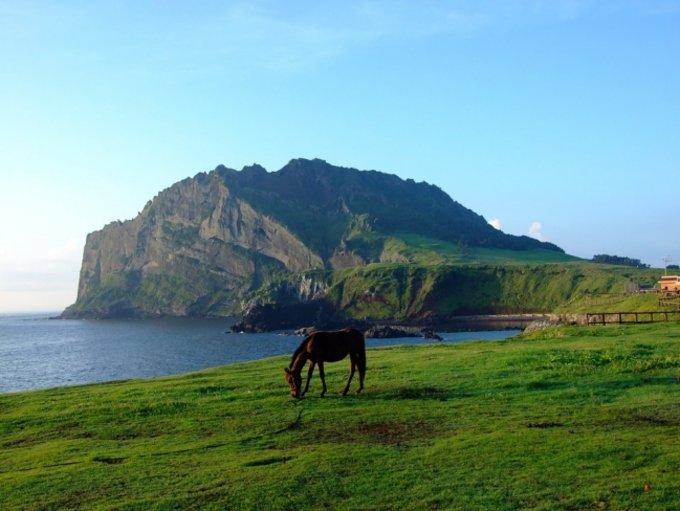 10 Địa Điểm Du Lịch Jeju Có Thể Đến Bằng Giao Thông Công Cộng, Jeju, HÀN QUỐC