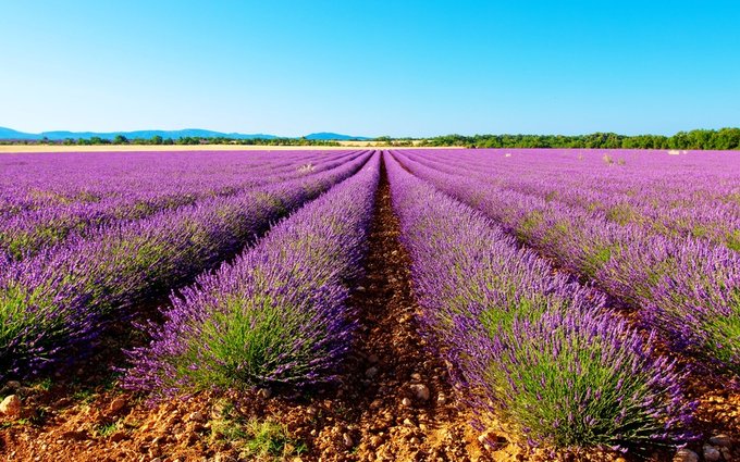 11 Ý Tưởng Vi Vu Siêu “Chất” Khi Đi Du Lịch Provence Tự Túc