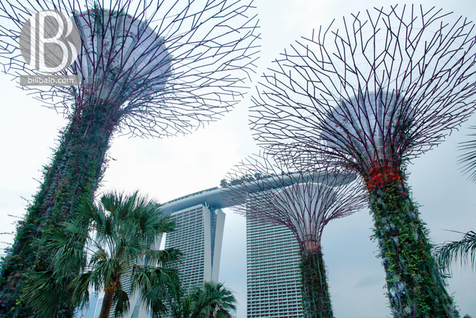 Lịch trình du lịch tự túc Singapore một mình dịp lễ 30-4 từ travel blogger Bill balo