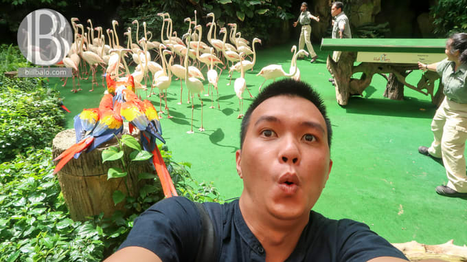 Lịch trình du lịch tự túc Singapore một mình dịp lễ 30-4 từ travel blogger Bill balo, SINGAPORE
