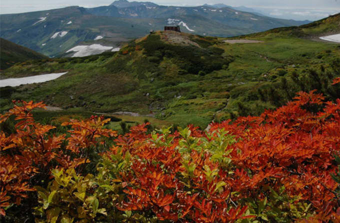 Hướng dẫn chi tiết đi chiêm ngưỡng lá phong Hokkaido, Hokkaido, NHẬT BẢN