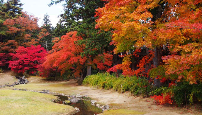 Lịch ngắm lá phong rực rỡ mùa thu Nhật Bản trong năm 2018