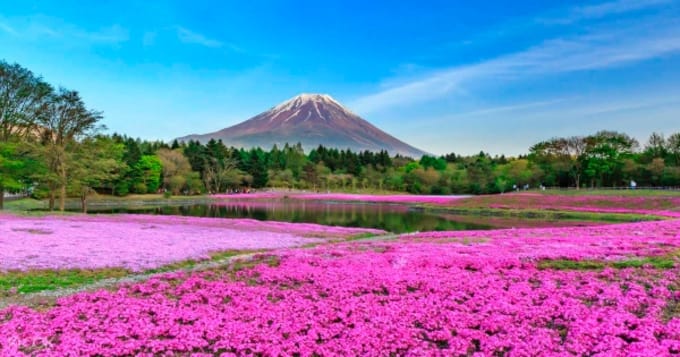 “Ngất Ngây” Với 5 Hồ Nước Đẹp Lung Linh Gần Núi Phú Sĩ