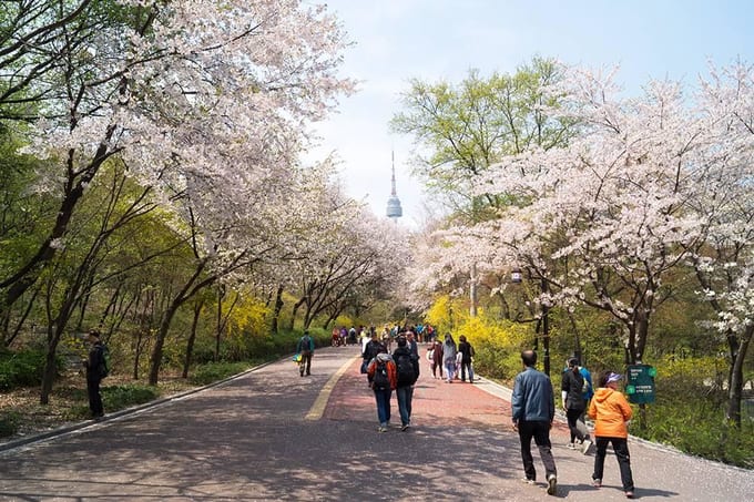 Bí kíp phá đảo công viên Namsan, khám phá tháp N Seoul, Seoul, HÀN QUỐC