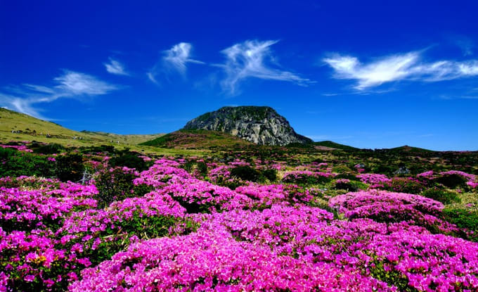 Lần Đầu Đi Đảo Jeju Tự Túc, Đừng Bỏ Qua 10 Địa Điểm Này!