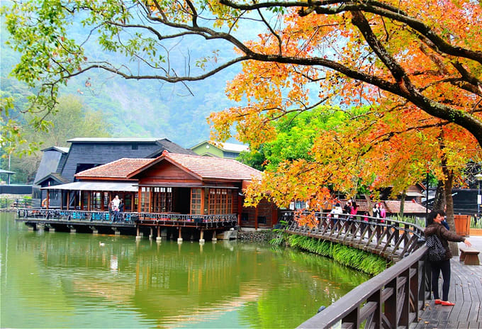 Ngắm lá phong đủ màu ở Đài Loan, ĐÀI LOAN