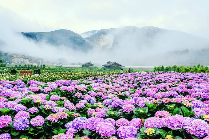 Hành trình khám phá Đài Loan – Hòn ngọc xinh đẹp của châu Á, ĐÀI LOAN