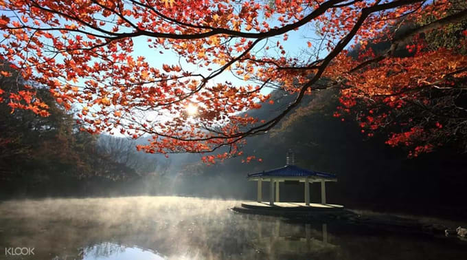 Top 5 khu rừng lá thu tuyệt đẹp cực gần Seoul ở Hàn Quốc, Seoul, HÀN QUỐC