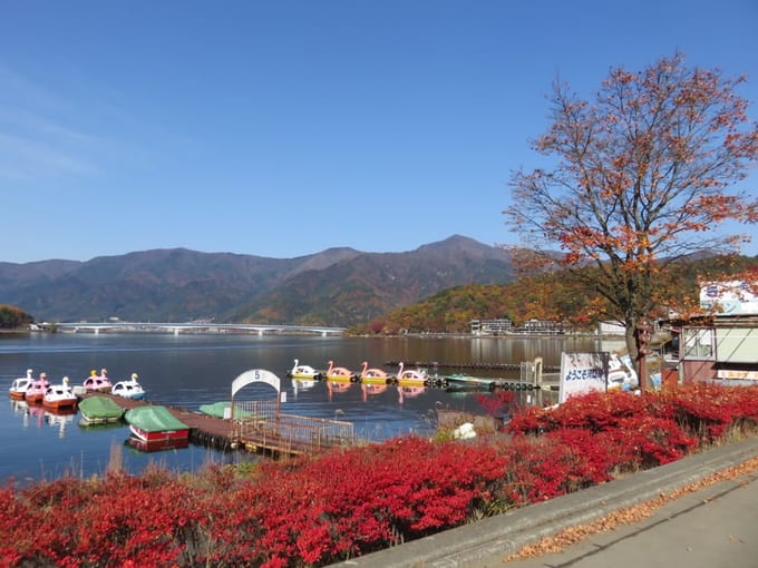 Gợi ý khám phá mùa thu núi Phú Sĩ tại Kawaguchi, Nhật Bản