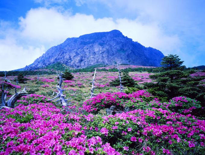 Bản đồ du lịch đảo Jeju cho bạn thoả thích tự do khám phá 5 ngày, Jeju, HÀN QUỐC