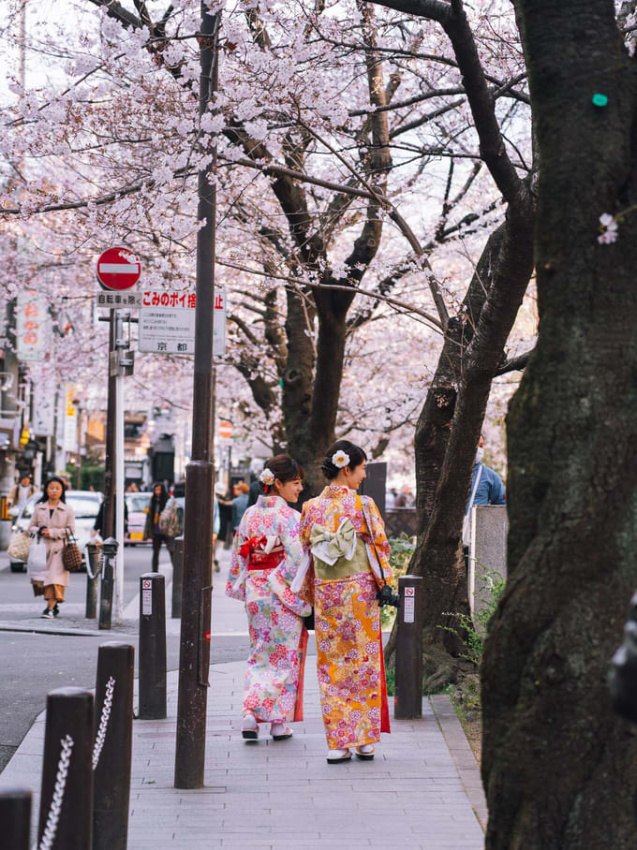 Hướng dẫn du lịch Nhật Bản với JR Pass bởi travel blogger Nhị Đặng, NHẬT BẢN