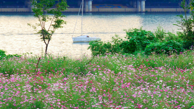 Bỏ Túi 4 điểm Cực đẹp để Ngắm Sông Hàn Tại Seoul, Seoul, HÀN QUỐC