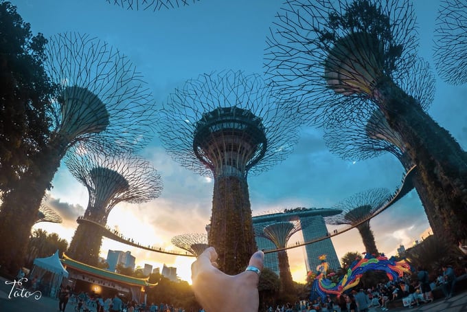 Hành trình 3 ngày sống ảo nghìn like ở Singapore, SINGAPORE