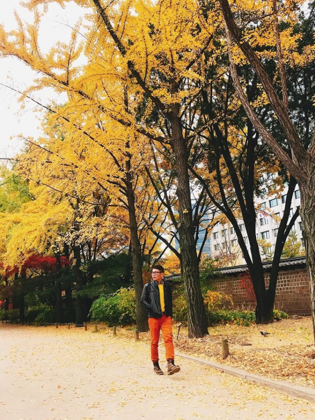 Lịch trình 5N5Đ đón mùa thu lá vàng đẹp mê mẩn tại Hàn Quốc, HÀN QUỐC