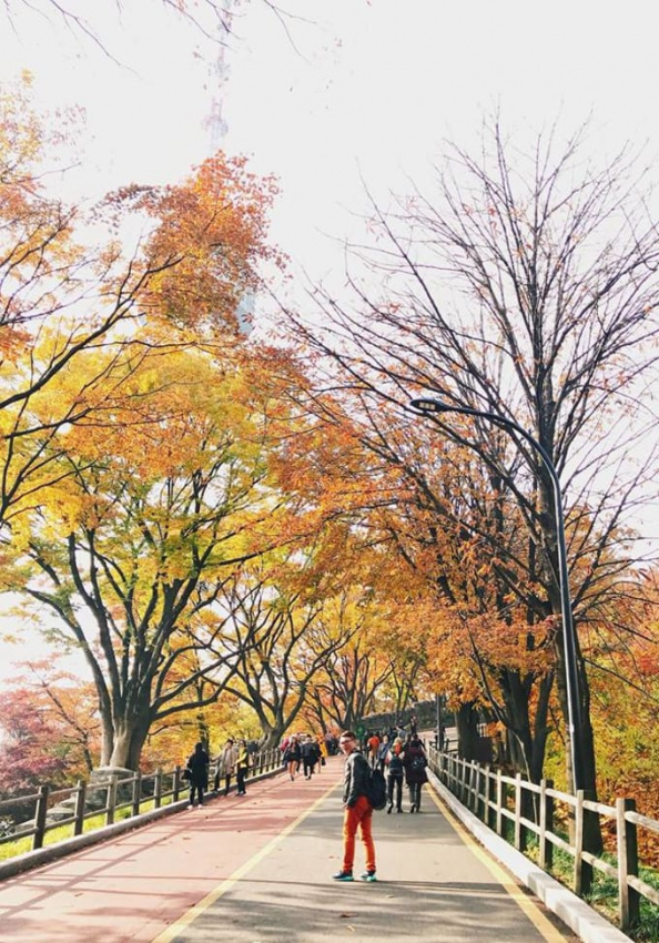 Lịch trình 5N5Đ đón mùa thu lá vàng đẹp mê mẩn tại Hàn Quốc, HÀN QUỐC