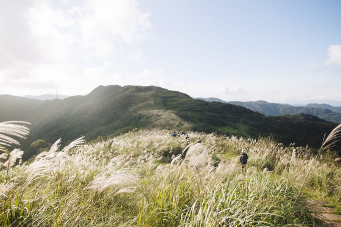 Top 10 địa điểm ngắm lá phong mùa thu cực kỳ lãng mạn ở Đài Loan, ĐÀI LOAN