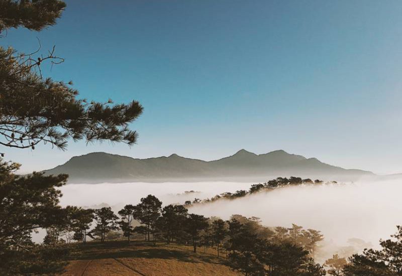 Đồi Đa Phú – địa điểm cắm trại & săn mây đẹp như mơ