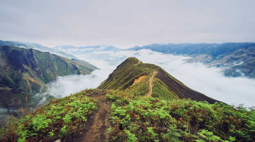 Chinh phục đỉnh Tà Xùa – thiên đường mây Tây Bắc