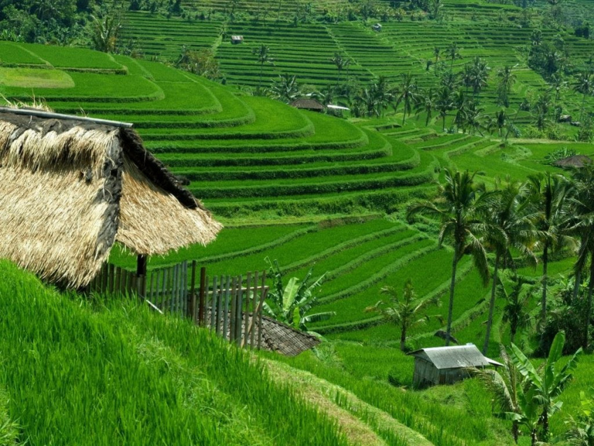 Điểm danh 7 kỳ quan thiên nhiên nổi tiếng ở Bali