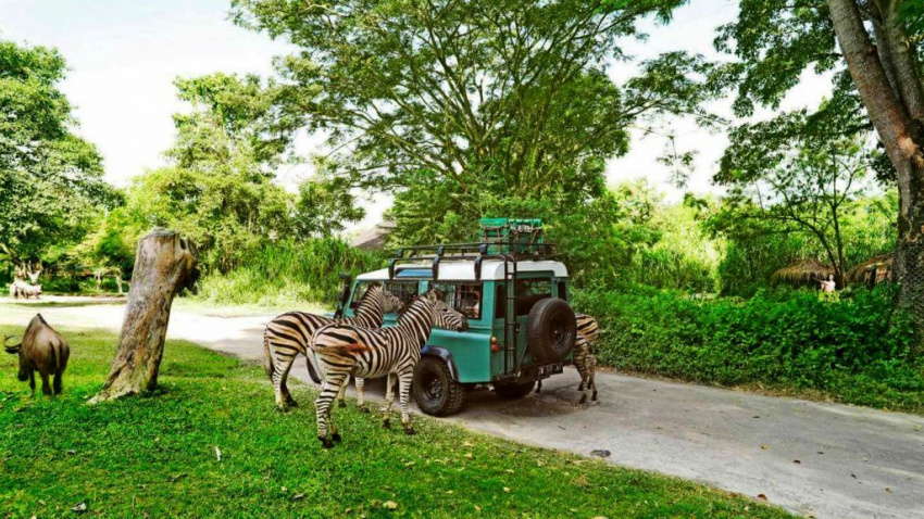 Bali Safari – Xứ sở của những bé Rồng Komodo