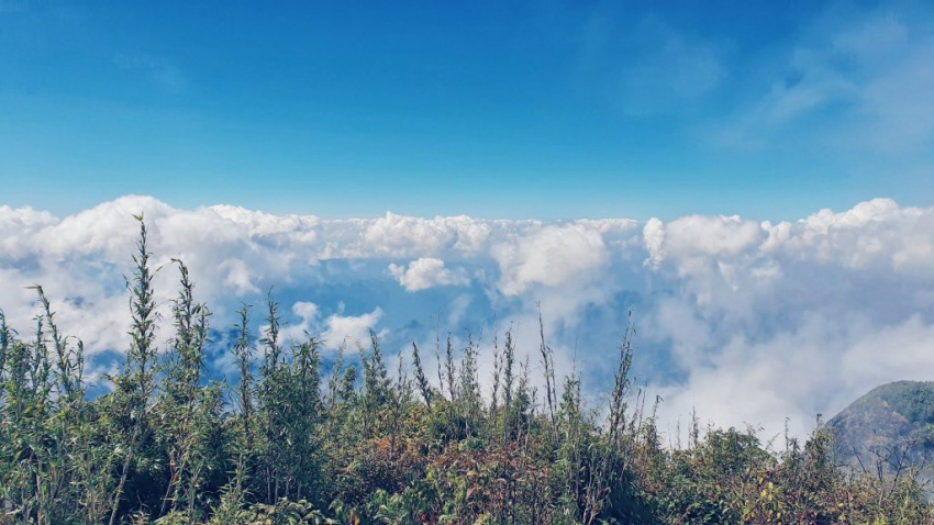 Trekking Bạch Mộc Lương Tử – săn mây và hái sao