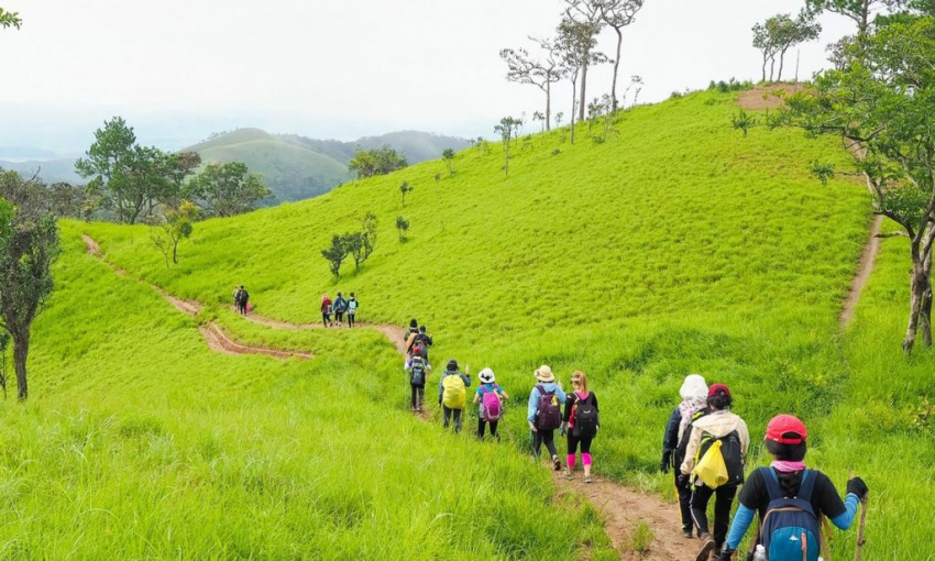 Cách chinh phục cung đường trekking Tà Năng – Phan Dũng dễ dàng