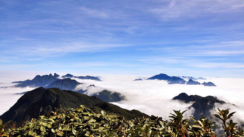 Kinh nghiệm chinh phục núi Putaleng chi tiết từ A-Z