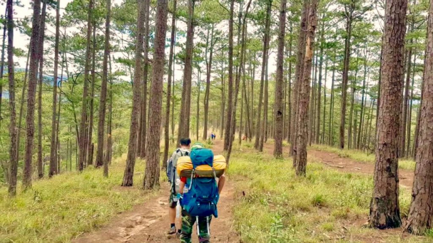 Kinh nghiệm dành cho người đi trekking Bidoup lần đầu