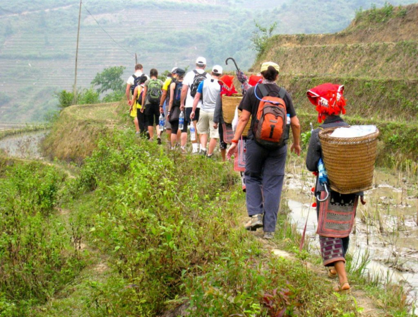 Chinh phục tour trekking Fansipan giá rẻ