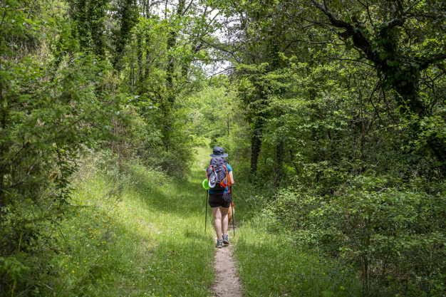 Những lợi ích của trekking khiến giới trẻ “mê tít”
