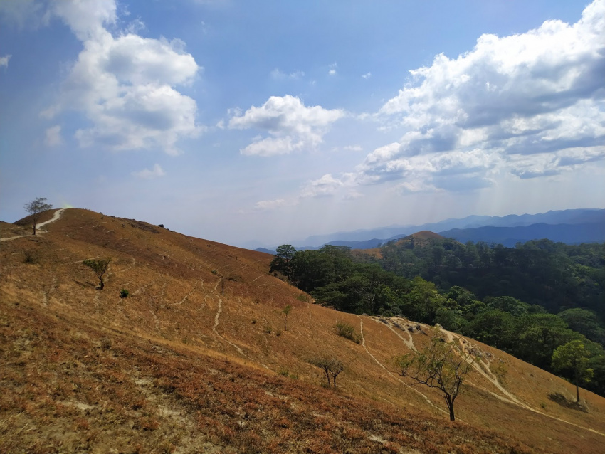 Chia sẻ chi tiết kinh nghiệm trekking Tà Năng – Phan Dũng