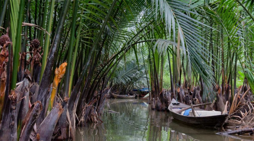 Trải nghiệm thuyền thúng rừng dừa ở Hội An thú vị