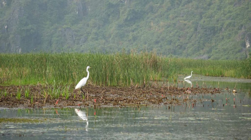Khám phá khu bảo tồn thiên nhiên Vân Long