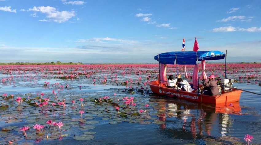 Kinh nghiệm du lịch tự túc và ngắm hồ sen đỏ Red Lotus Sea ở Udon Thani