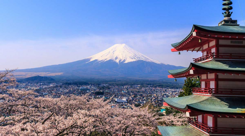 Lịch trình du lịch tự túc Nhật Bản 7 ngày