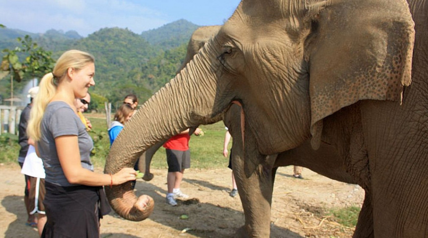 Công viên Voi Hoang dã Chiang Mai – Elephant nature camp