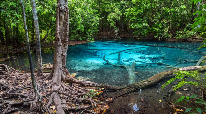 Hồ Emerald Pool và Blue Pool ở Krabi: đắm mình giữa thiên nhiên