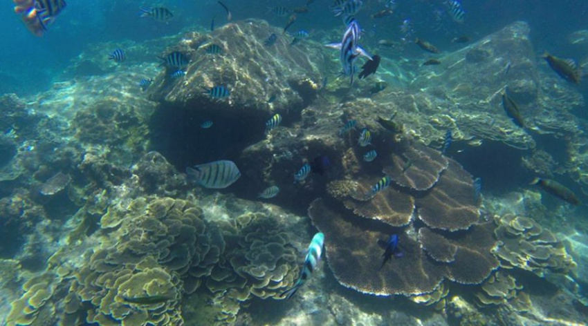 Kinh nghiệm du lịch bụi đảo Perhentian – thiên đường lặn biển ở Malaysia