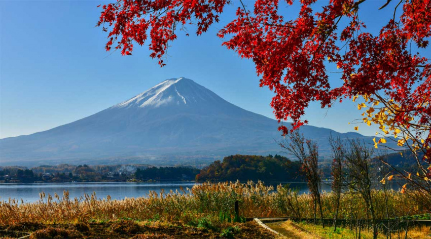 Lịch trình du lịch núi Phú Sĩ tự túc từ Tokyo (1-2-3 ngày)