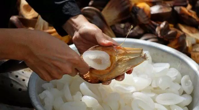 ẩm thực, chế biến đa dạng món ăn từ dừa nước, đặc sản quý của người miền tây
